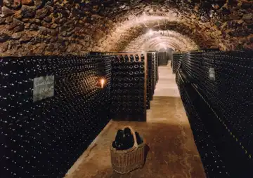 SCEV Dourdon Vieillard