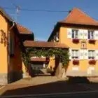 vins-scheyder-67