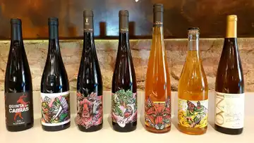 Vins d'Alsace Domaine Muller-Koeberlé