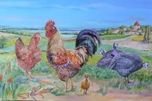 La Ferme des 2L