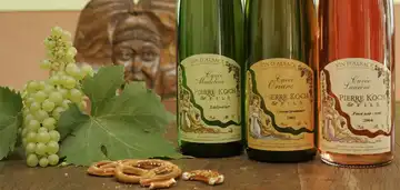 Koch Pierre