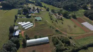 Les Jardins de Boscornut : poulets, légumes et oeufs bio