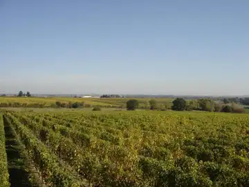 Domaine de la Clartière - EARL Pinet