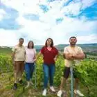 champagne-andre-cez-rondeau-et-fils-51