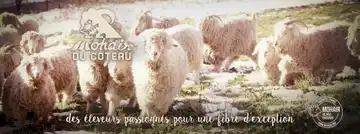 MOHAIR DU COTEAU - Maxence FLEYGNAC