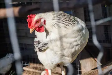 Le Potager Du Bon'eure