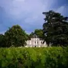 chateau-haut-nouchet-33