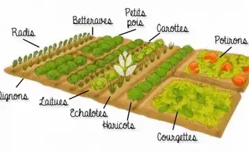 Les jardins