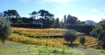 Domaine de Cagueloup