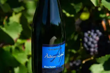Autreau Lasnot - Champagne