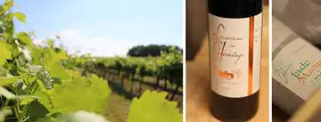 VIGNOBLES LOPEZ - Château de l'Hermitage - Château Lagrugère