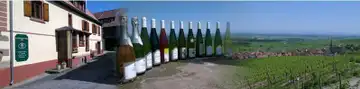 Vins Fins d'Alsace Henri Kieffer Fils