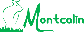 SCEA MONTCALIN