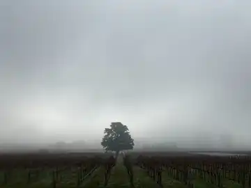 Château Dudon