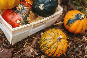 Le potager De Kerrun