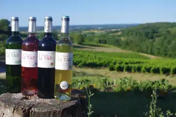 Chateau Le Tap