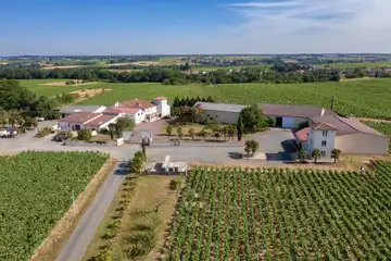 Naulin Brothers Vignards