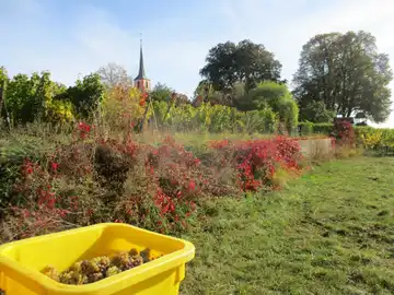 Domaine Boeckel