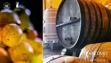 Champagne Marcoult