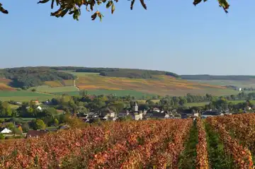 Champagne Christian Etienne - Domaine de l'Espérance