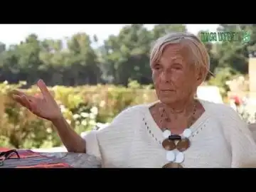 L'assiette sauvage