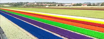 Les Cultures Florales d'Alsace - Ets Richter