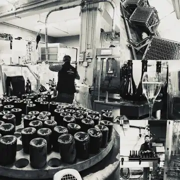 Champagne Veuve Doussot