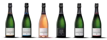 Champagne Charles Collin