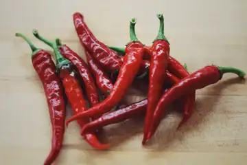 Bipertegia