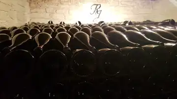 CHAMPAGNE RENE JOLLY