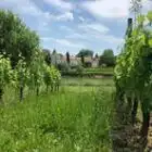chateau-couronneau-33