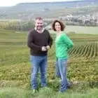 champagne-tarlant-51