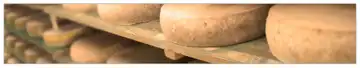 Ferme Fromagère Herrenstein