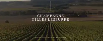 Champagne Gilles Leseurre