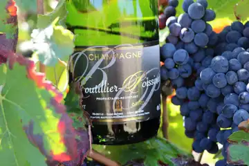 Champagne Boutillier Poissinet Jean-Jacques