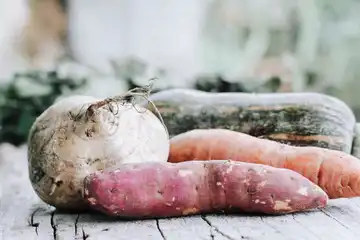 Ferme O Naturel