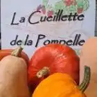 picking-pompelle-51